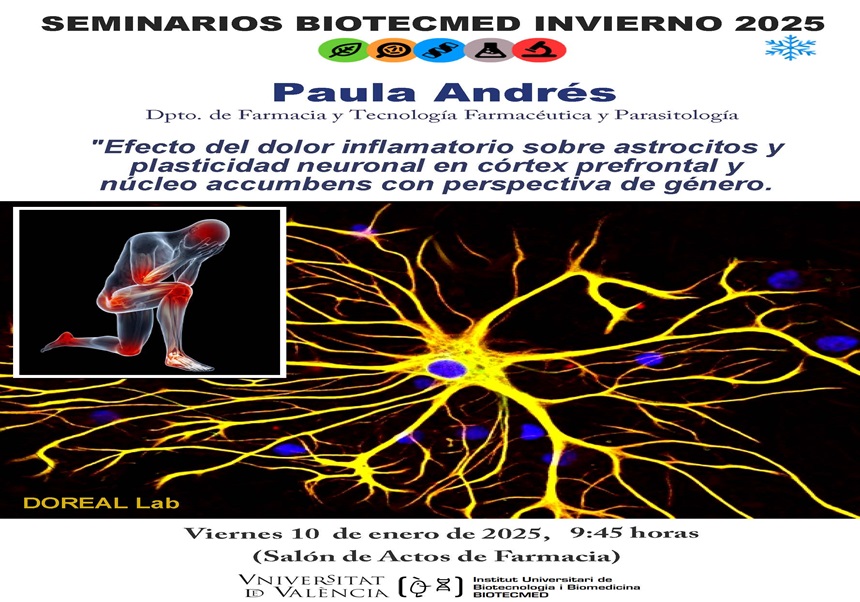 Image de la noticia